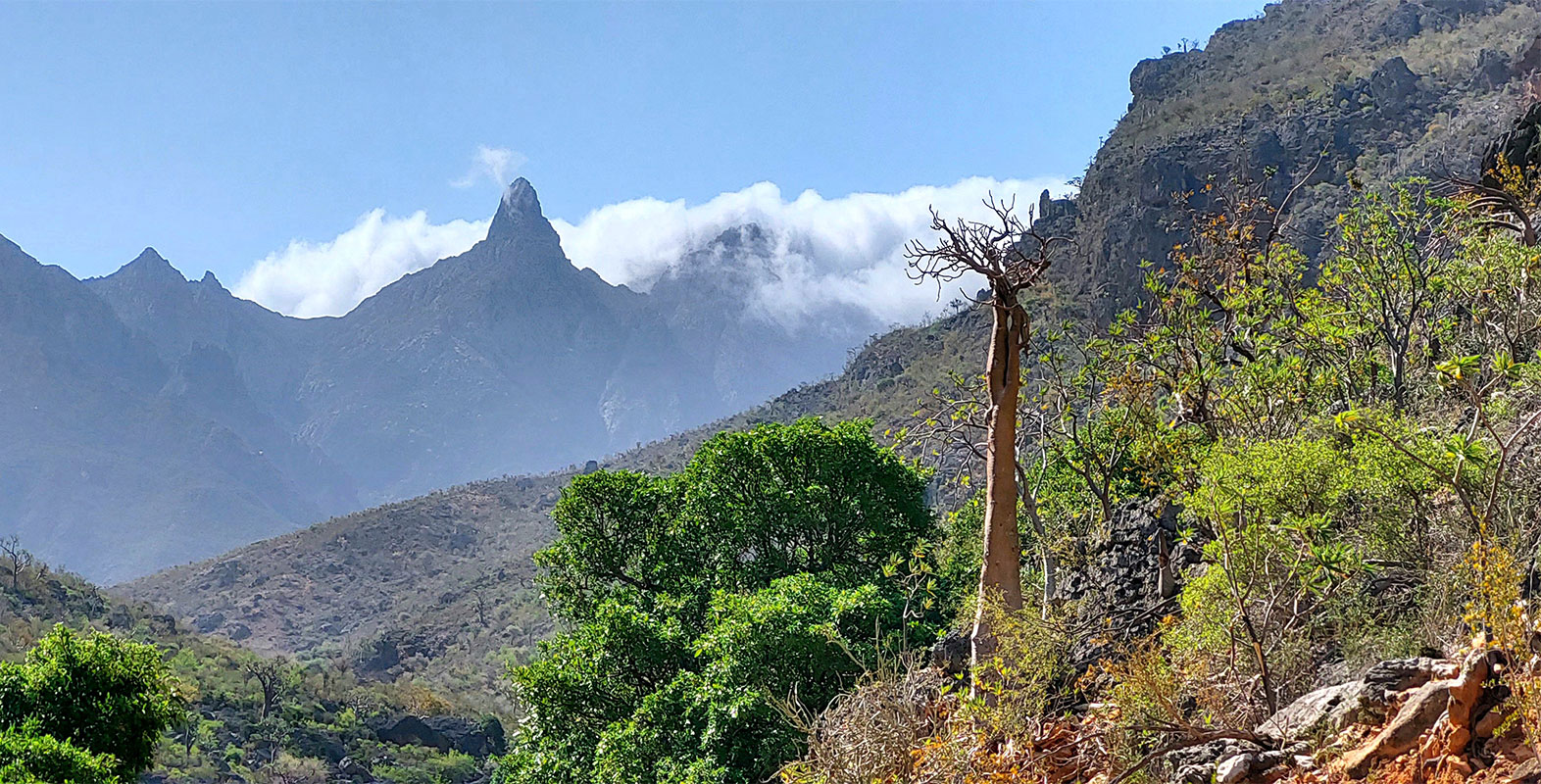 Socotra Islands, the Most Beautiful & Alien Place on Earth tour by SocotraTrip.com