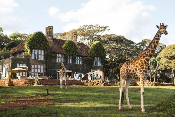 Giraffe Manor | Nairobi, Kenya