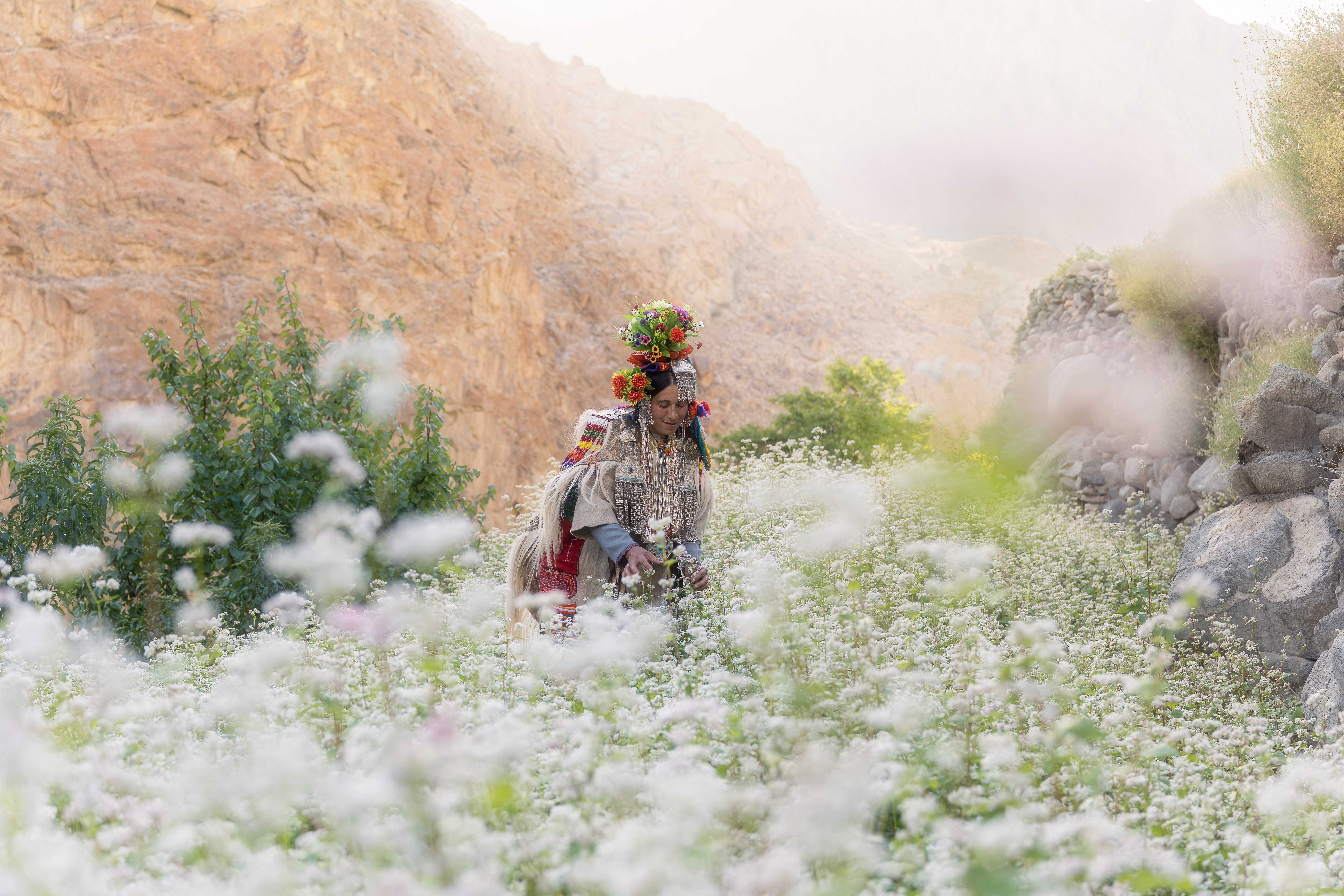 Photographing The Brokpa Tribes of Aryan Valley, Ladakh