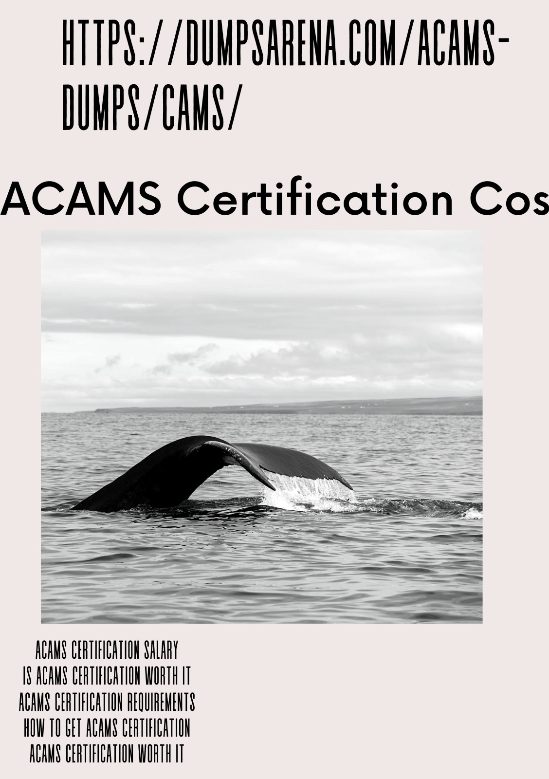 Breaking Down ACAMS Certification Costs: Budgeting for Your Future