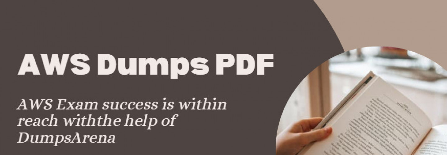 How to Get AWS Exam Dumps in PDF Format?