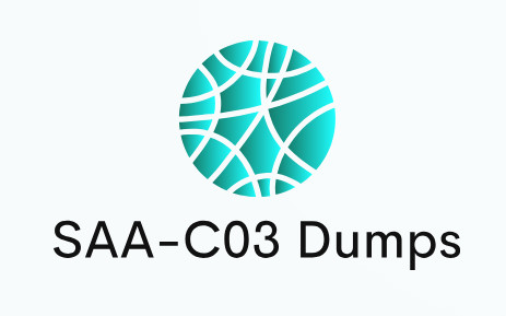 How to Pair SAA-C03 Dumps with Other Study Resources