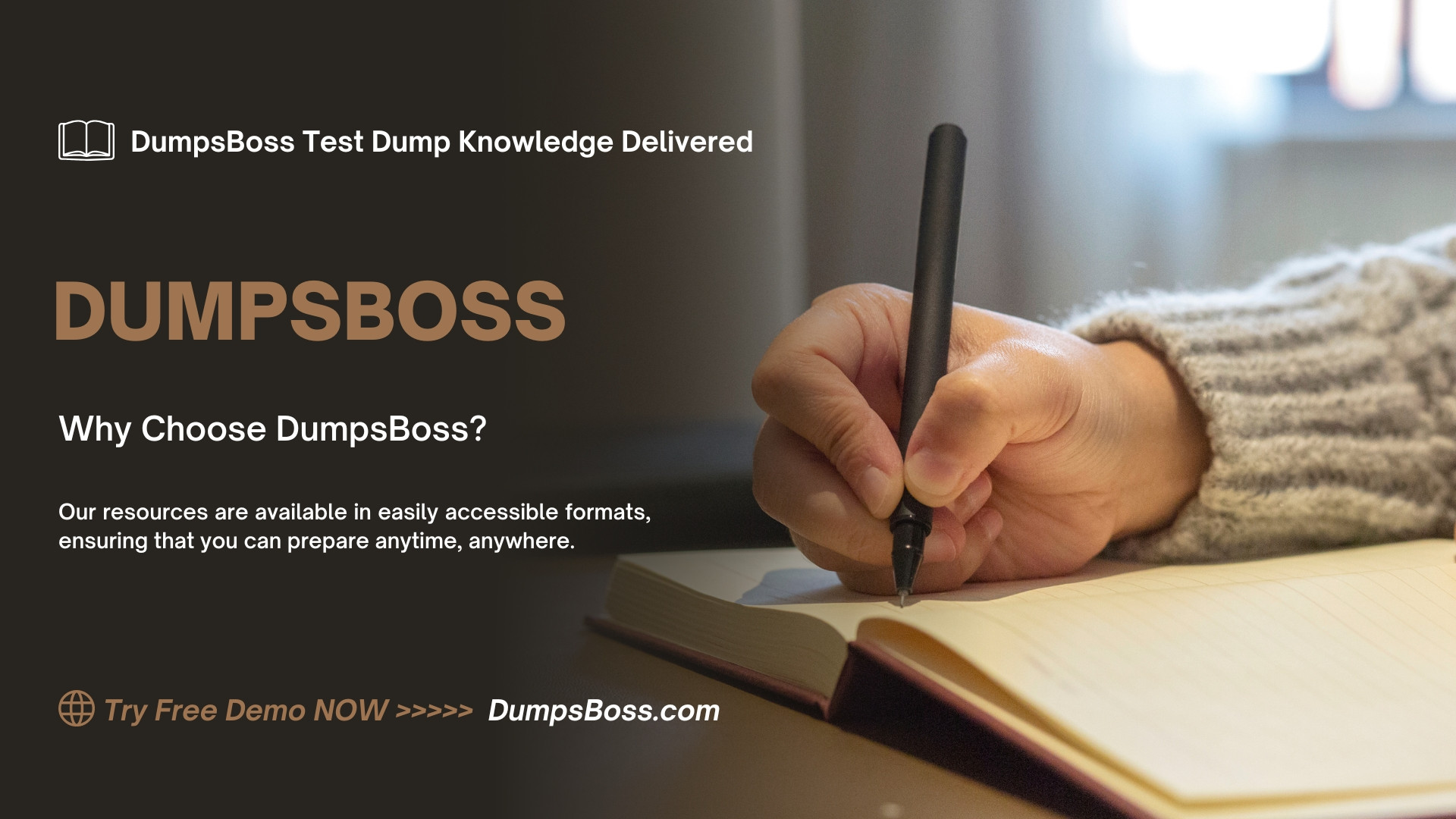 Test Dump Made Simple and Effective by DumpsBoss