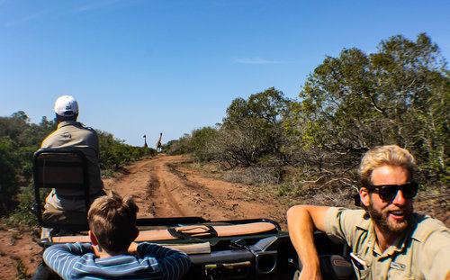 Phinda Private Game Reserve, South Africa - African Safari
