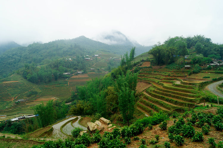 Sapa, Vietnam - The Rice Terraces of Sapa