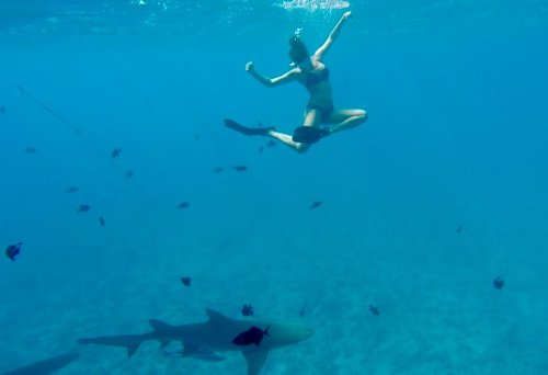 Bora Bora, French Polynesia - Honeymoon in Paradise