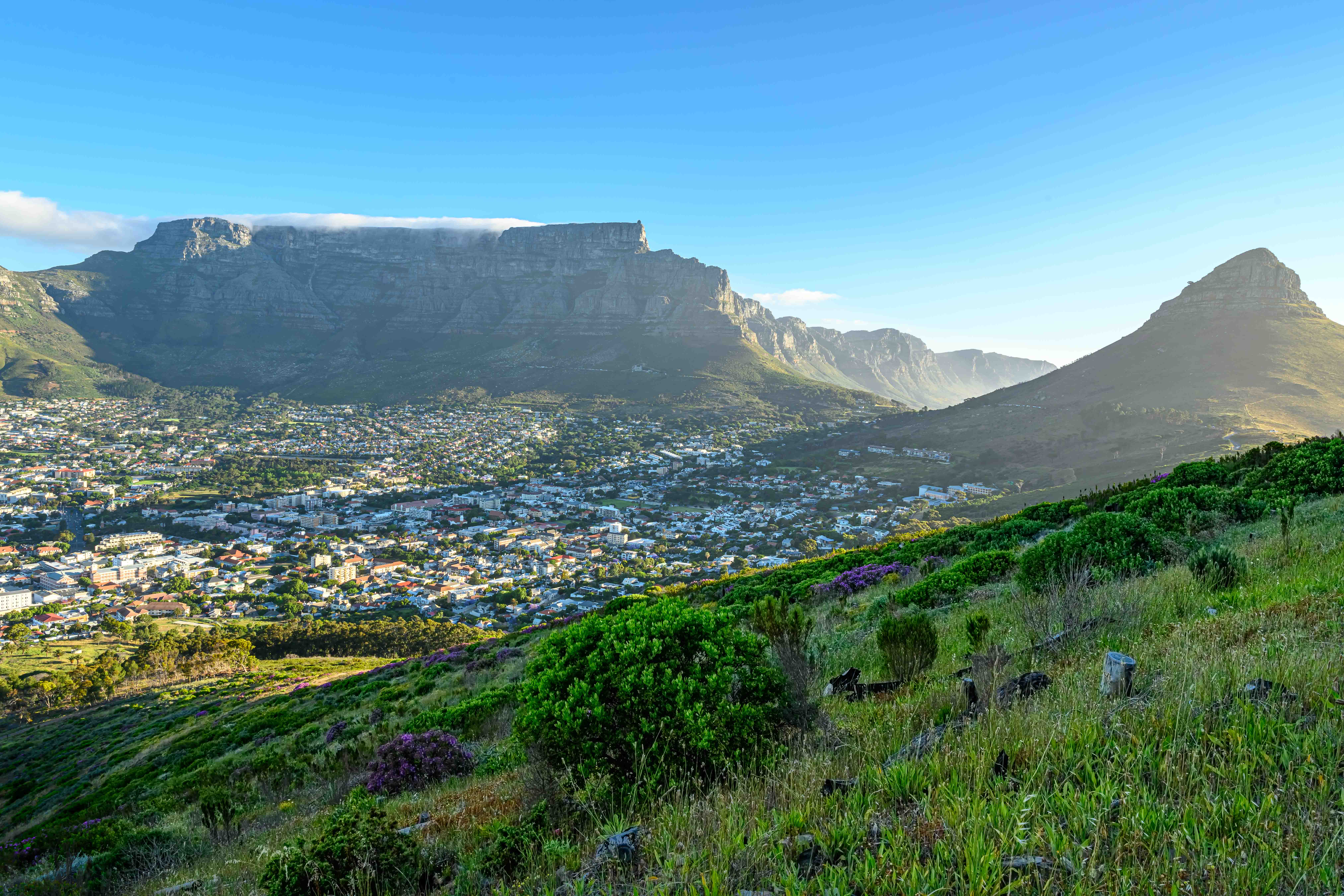Cape Town - South Africa's Mother City